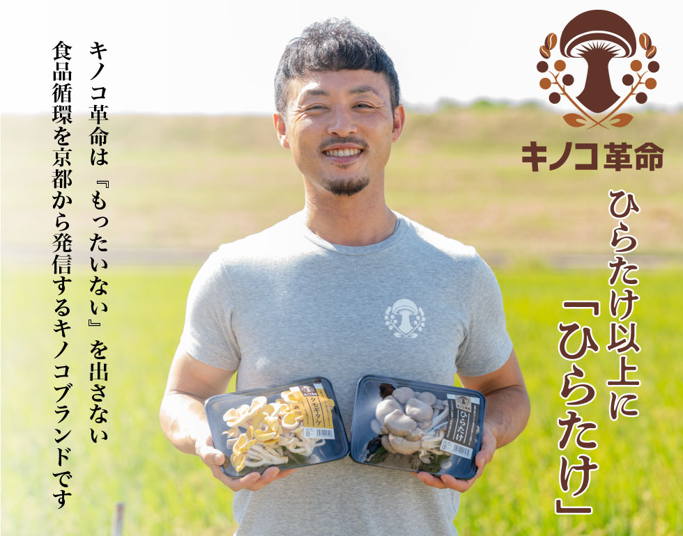 ひらたけ以上にひらたけ